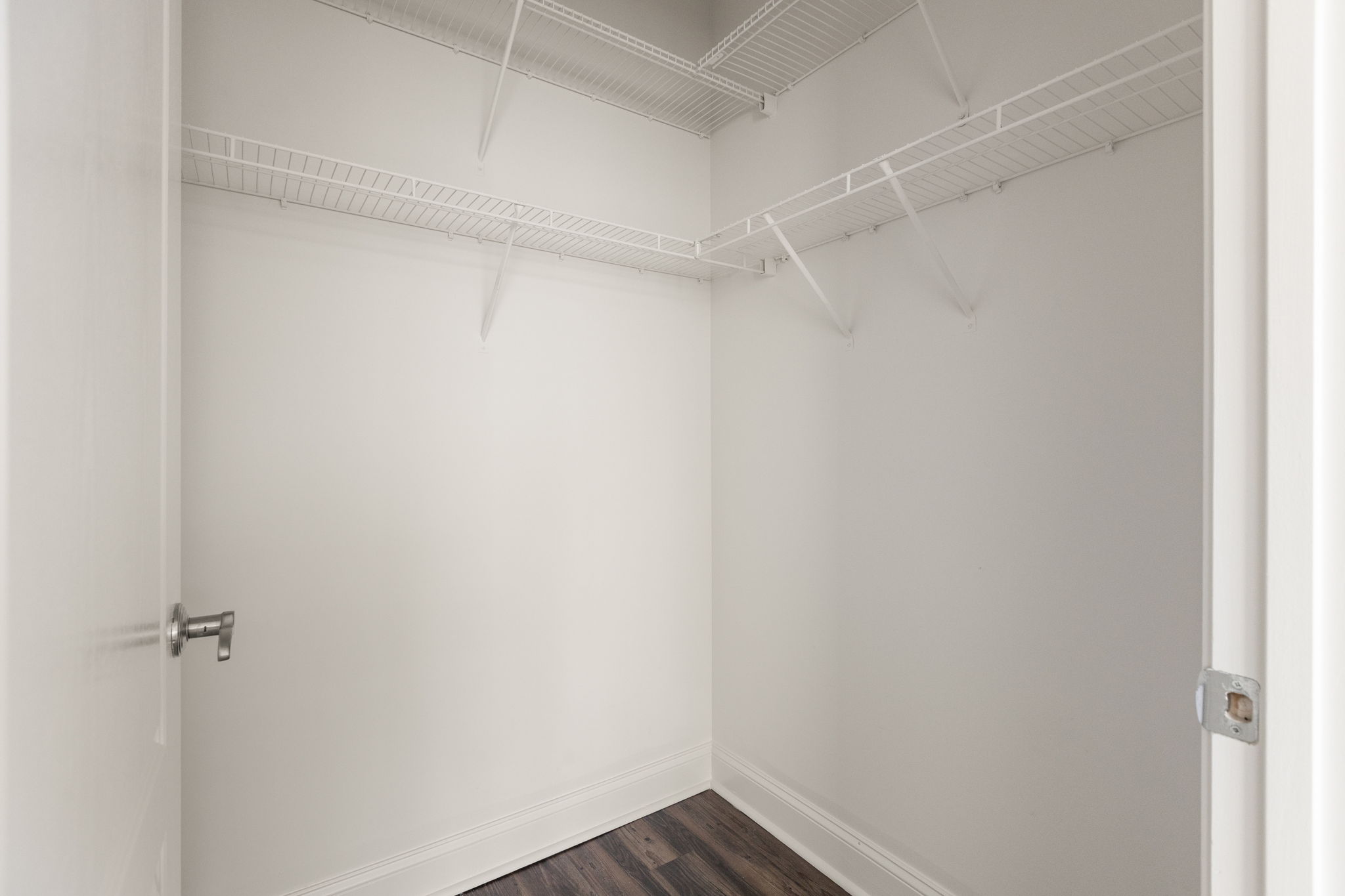 20260305_840united_roots014