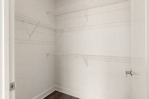 20260305_840united_roots010