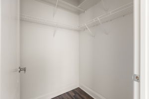 20260305_840united_roots014