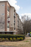 20260305_840united_roots023