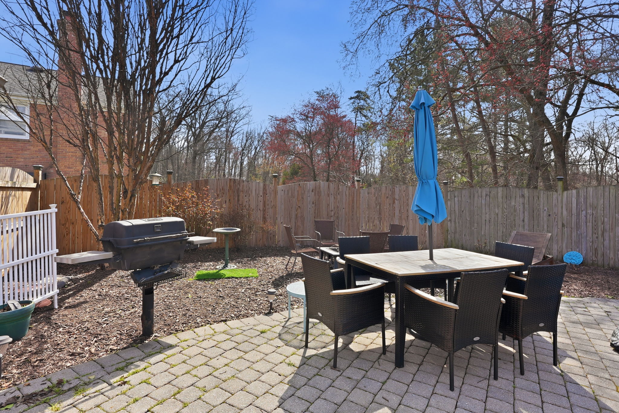Rear Patio and Grill Area