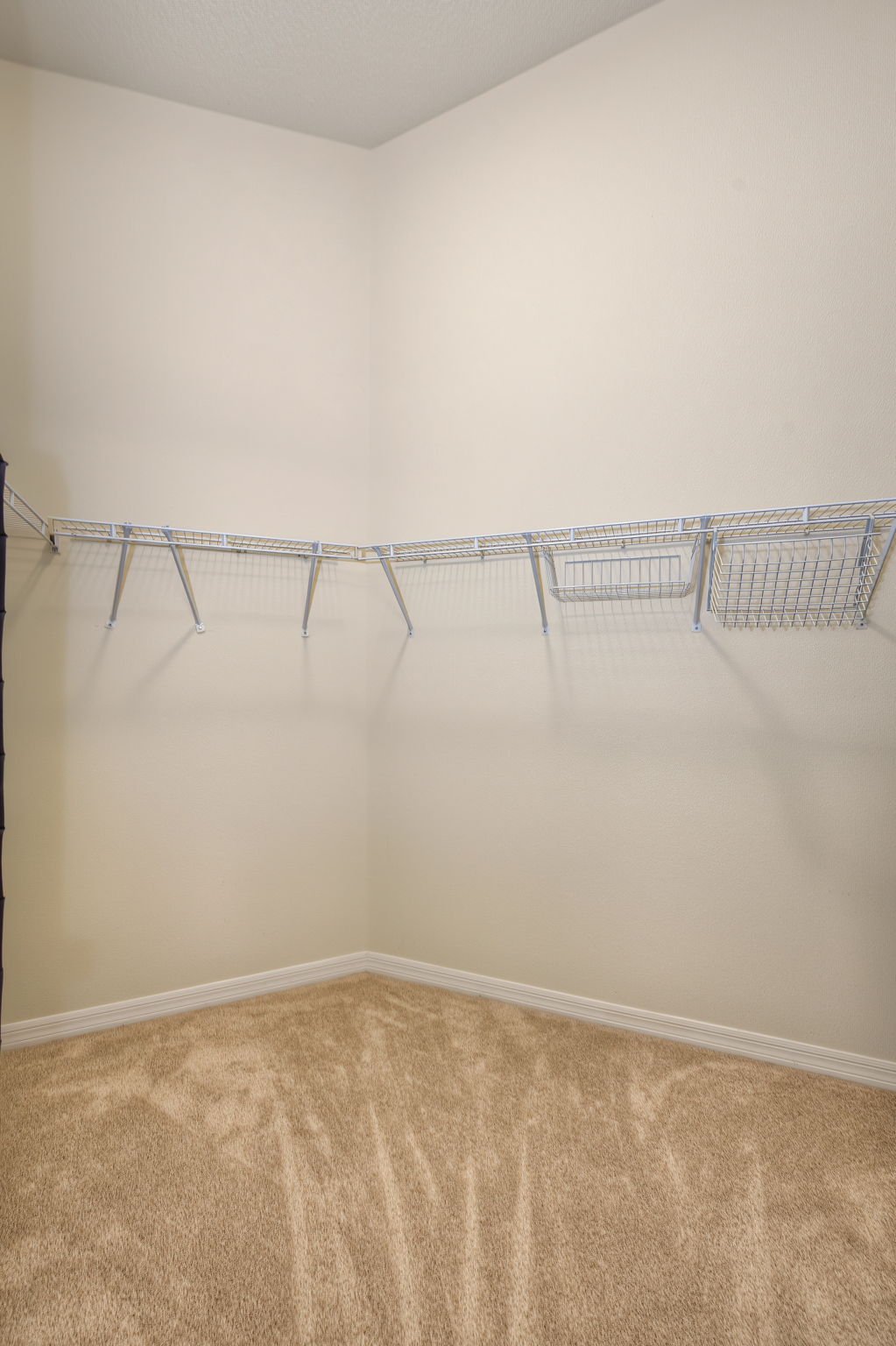 Primary Closet 2