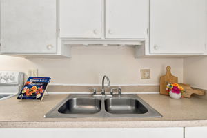 DSC_1517