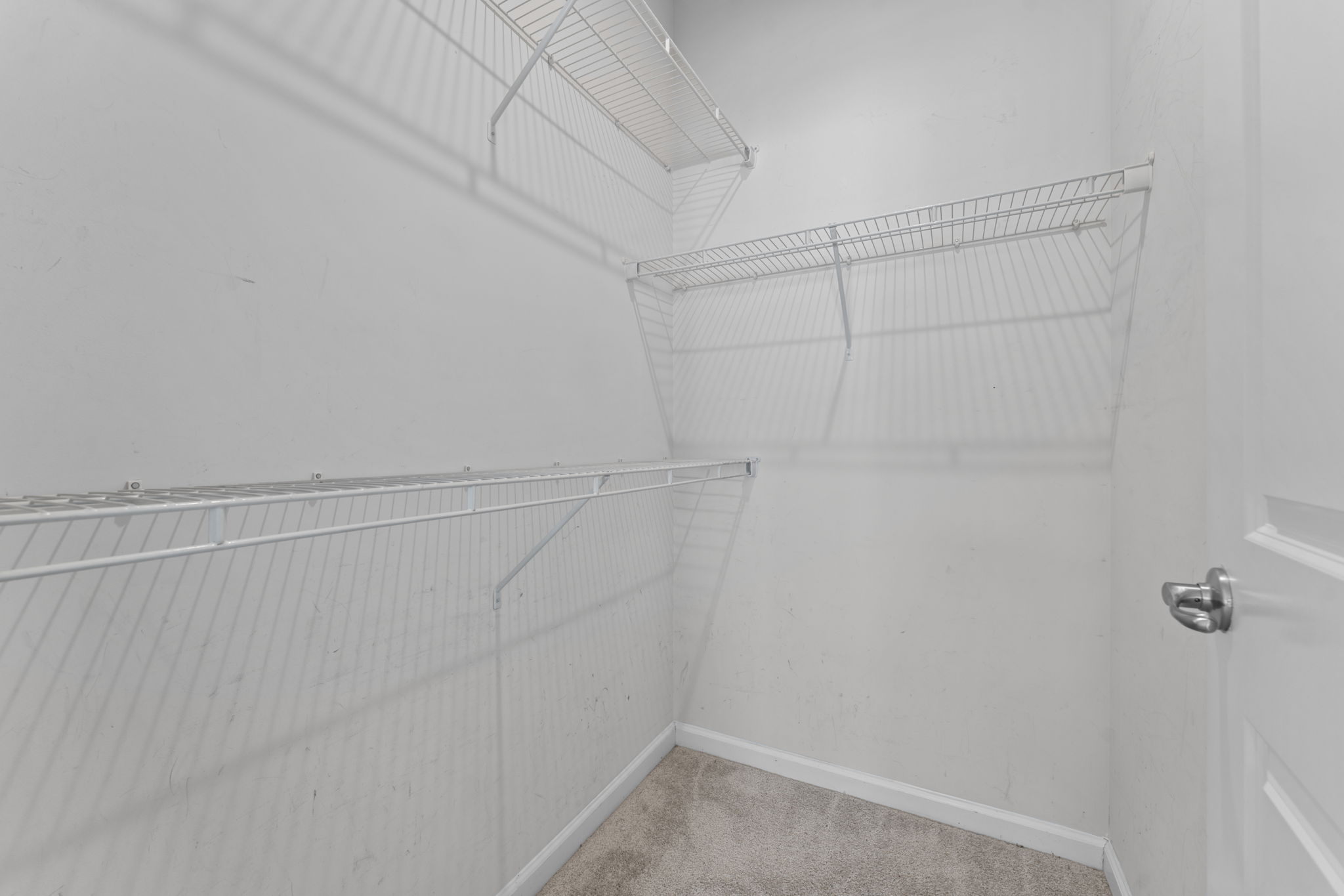 Lower Level Closet