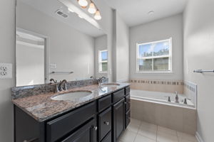 Primary Suite Bathroom