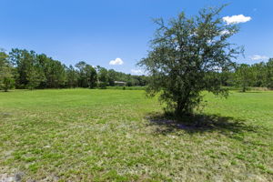  Photo 49