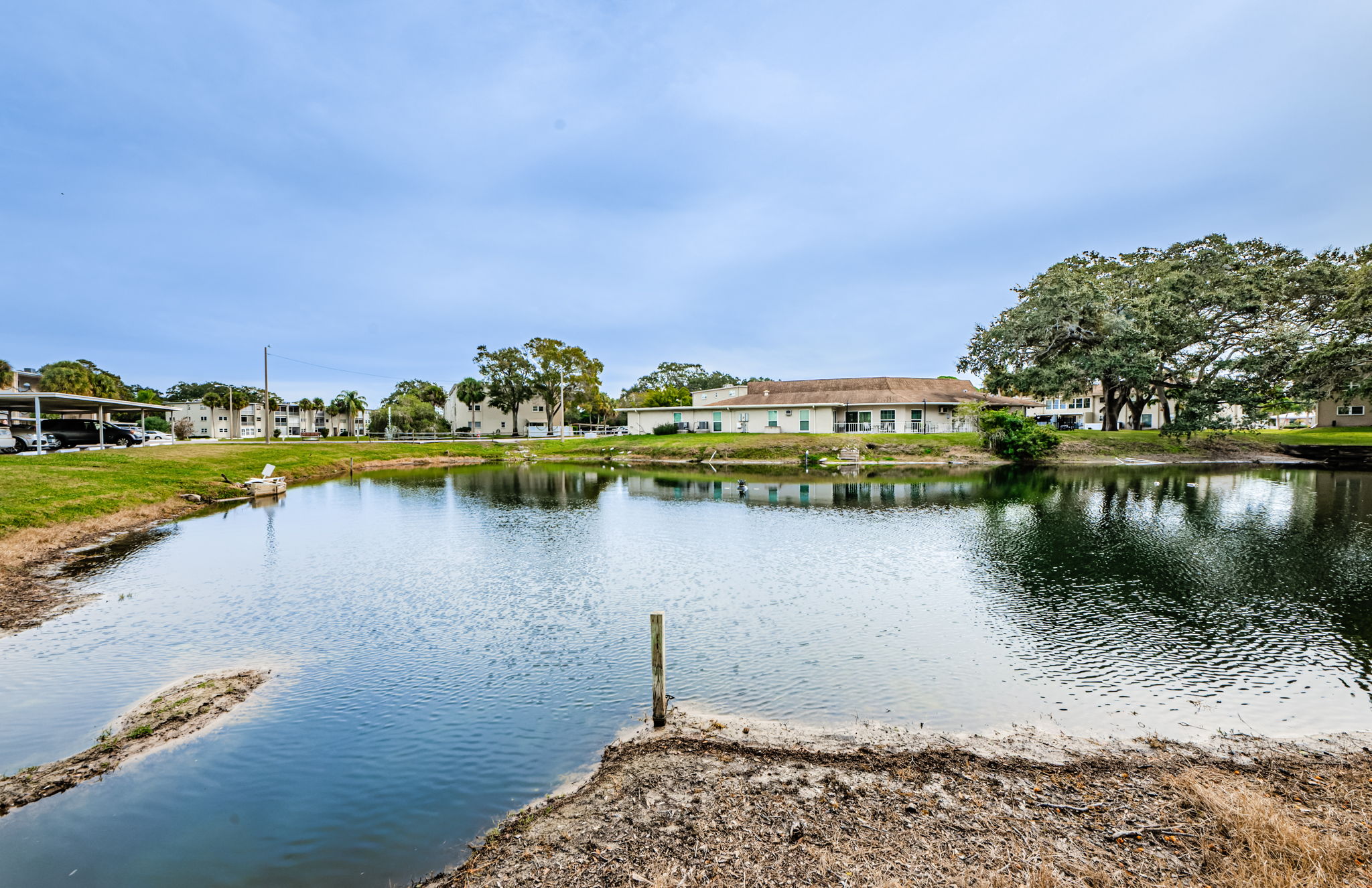 Pond View 1