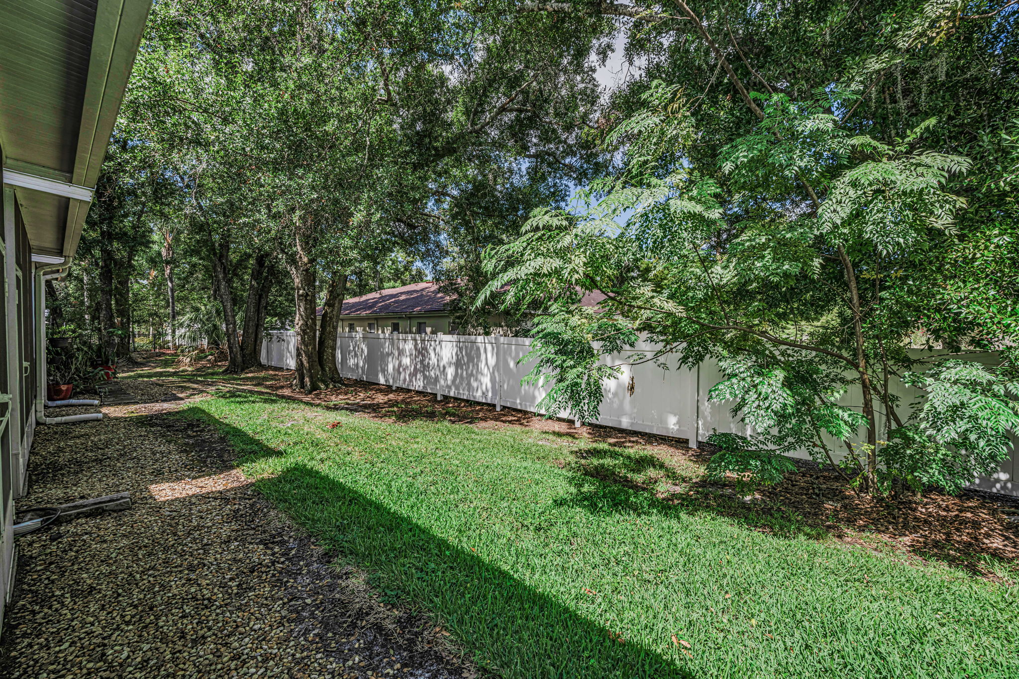 Backyard 2