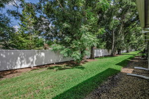 Backyard 1