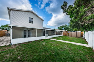 Backyard 2