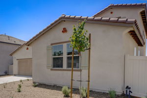 Brotchie Ln-003