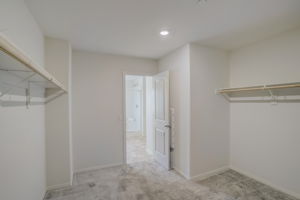Brotchie Ln-039