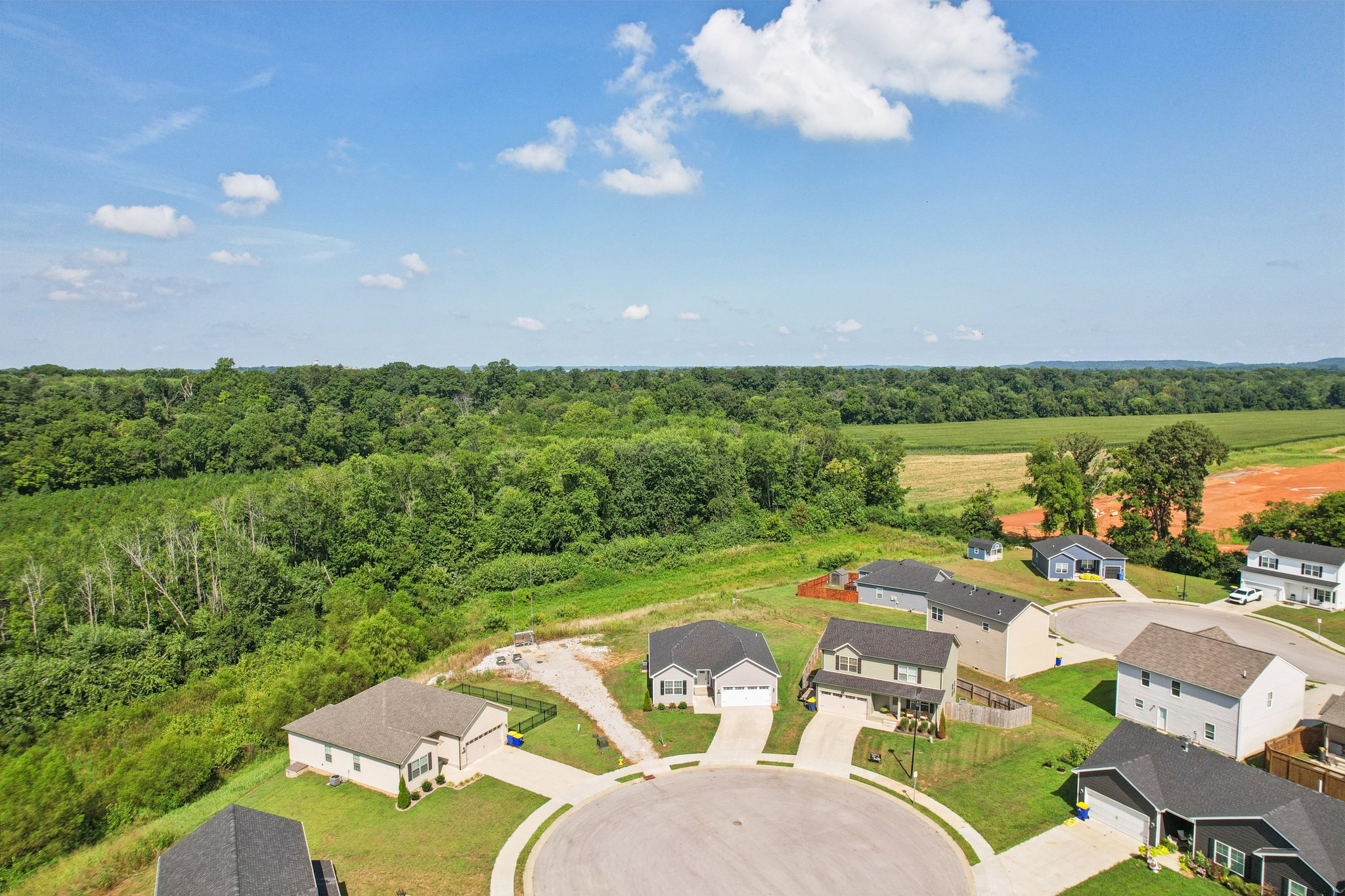 River Birch Rd-S3107-011.jpg