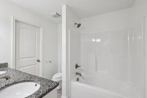 River Birch Rd-S2707-025.jpg