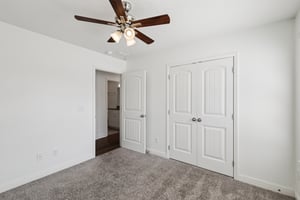 River Birch Rd-S2707-031.jpg