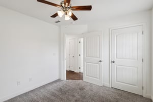 River Birch Rd-S2707-034.jpg