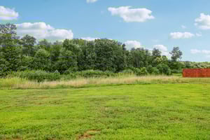 River Birch Rd-S2707-039.jpg