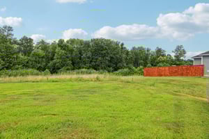 River Birch Rd-S2707-042.jpg