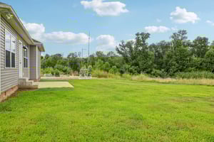 River Birch Rd-S2707-043.jpg