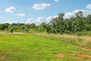 River Birch Rd-S2707-044.jpg