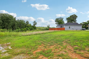 River Birch Rd-S2707-051.jpg