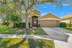 1 - 8425 Fenwick Ave, Tampa, FL 33647