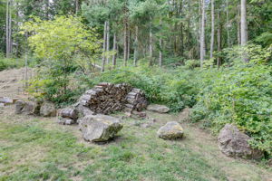  Photo 54