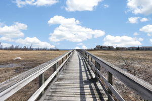 Photo 51