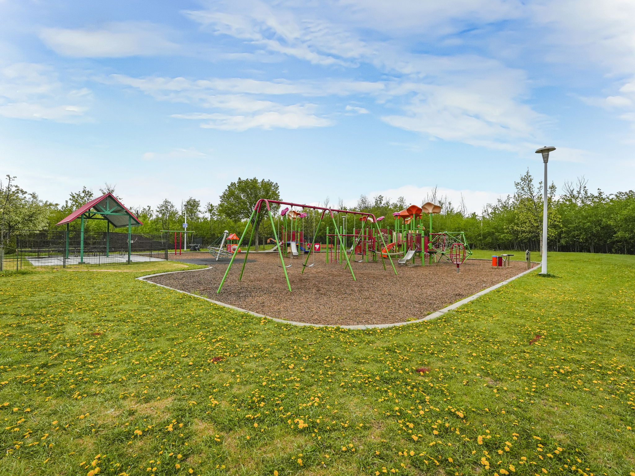  Photo 25