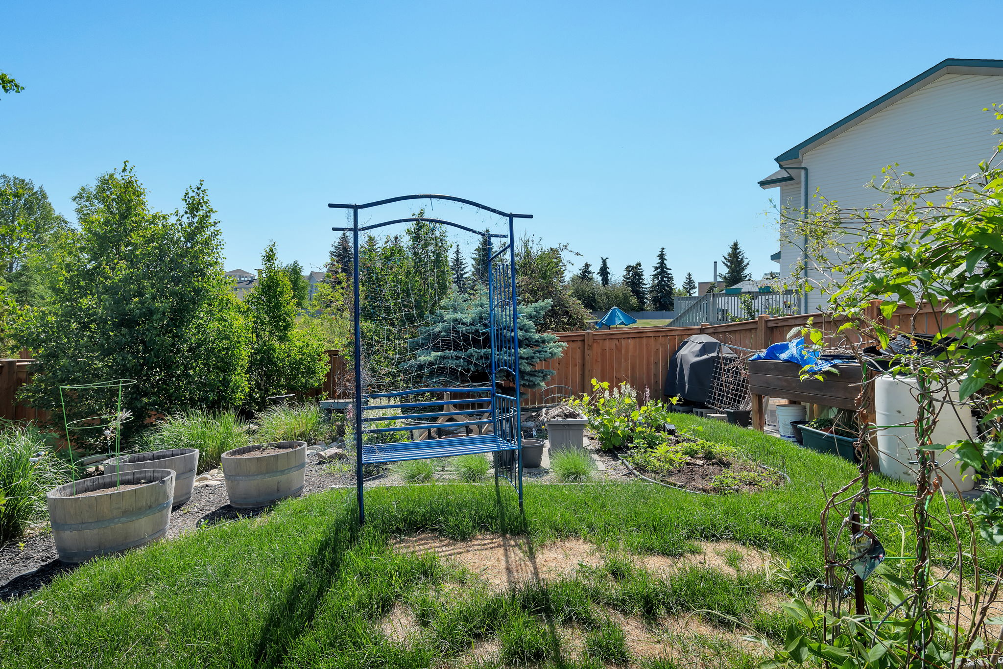  Photo 42