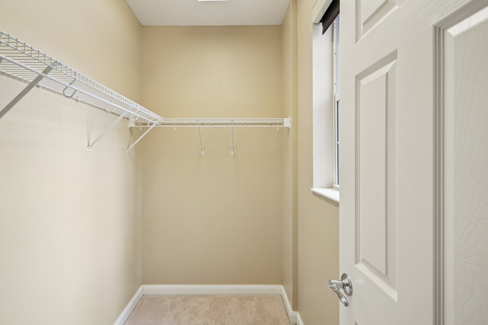 Leatherleaf Ln-0306-017.jpg