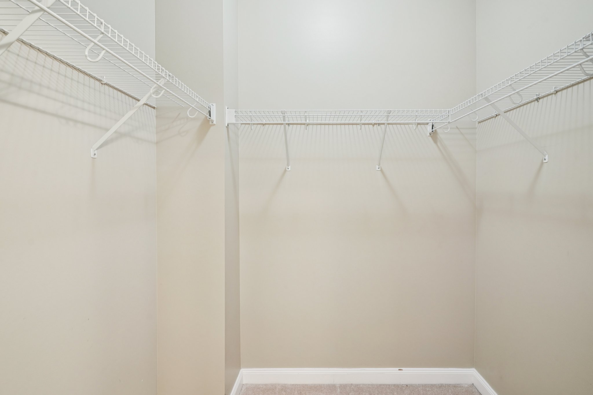 Leatherleaf Ln-0306-024.jpg