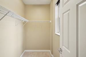 Leatherleaf Ln-0306-017.jpg
