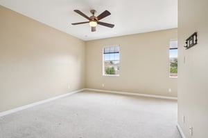Leatherleaf Ln-0306-020.jpg