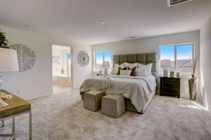 Brotchie Ln-021