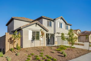 Brotchie Ln-046