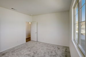 Brotchie Ln-016