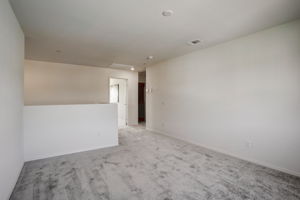 Brotchie Ln-020