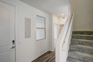 Brotchie Ln-001