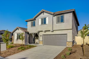 Brotchie Ln-045