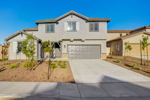 Brotchie Ln-044