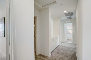 Brotchie Ln-033