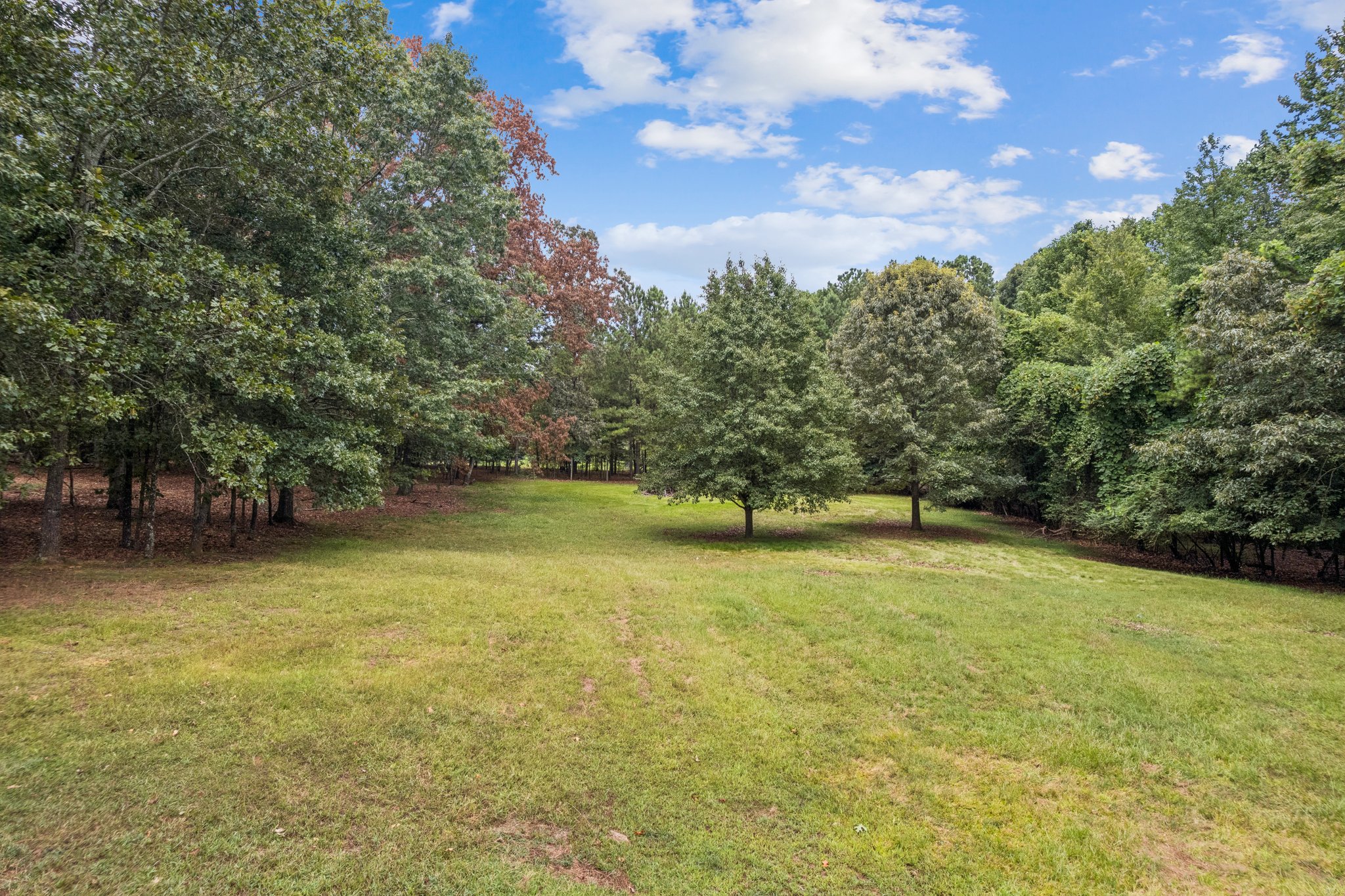 Local_Flavor_Films-Forsyth_Commons-146.jpg