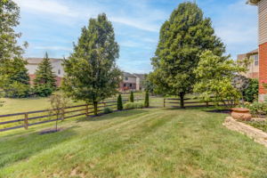38 back yard