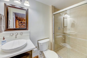 31 basement bathroom