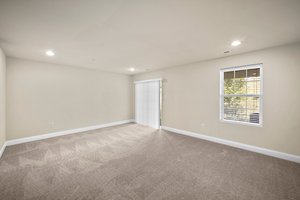 Lower level-1