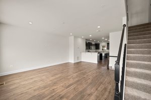 Living Room-1