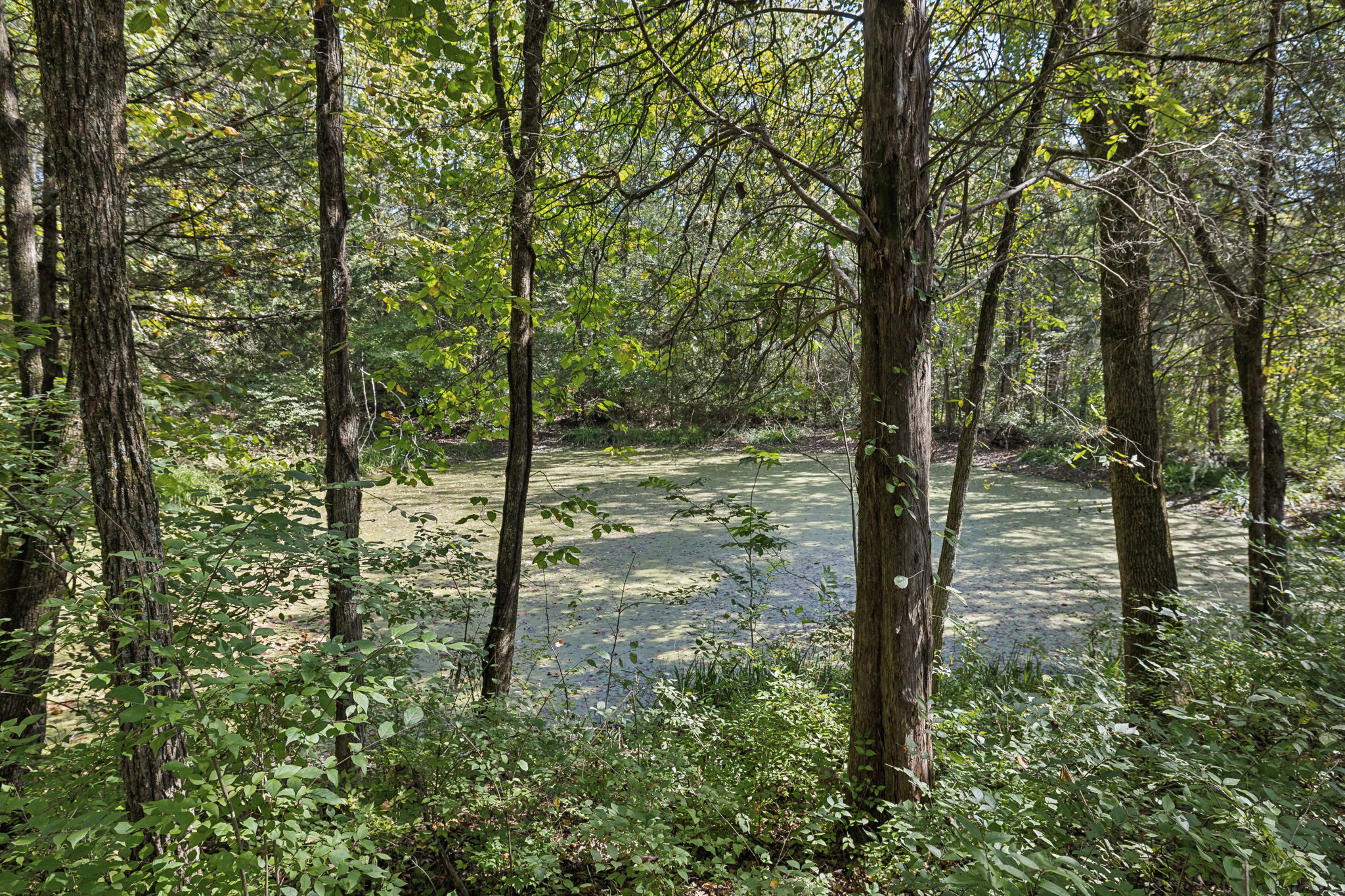  Photo 48