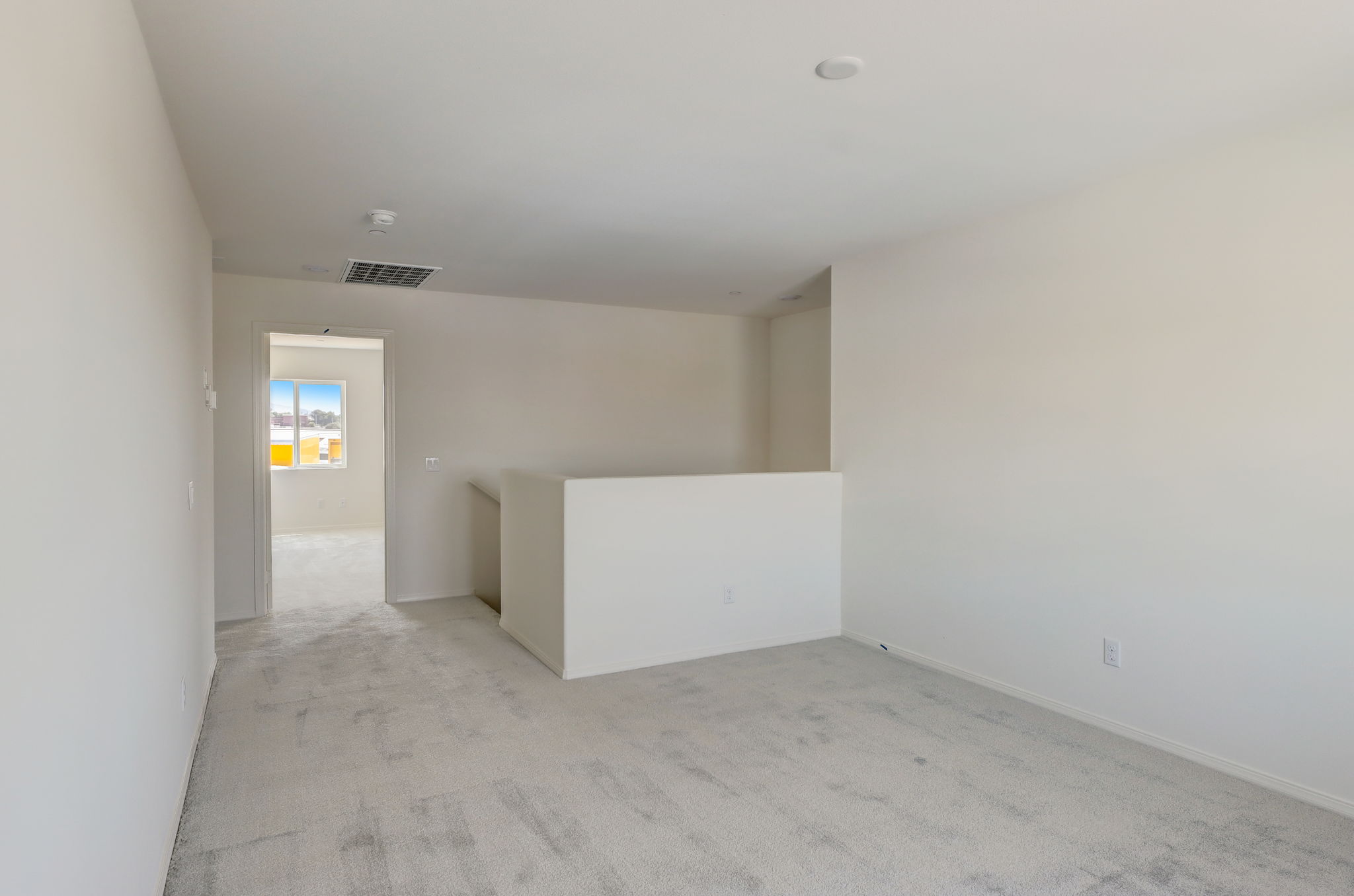 Brotchie Ln-018