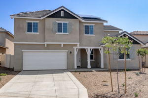 Brotchie Ln-005